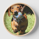 Search for pet photo clocks Cat