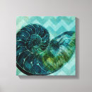 Search for seashells sea shells canvas prints Ocean