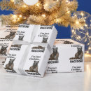 Search for raccoon wrapping paper Wild animals