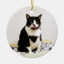Search for tuxedo cat ornaments White