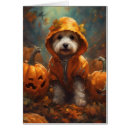 Search for halloween cards Cute