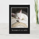 Search for cat pet sympathy cards Kitty
