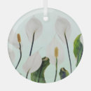 Search for white lily flower flowers lilies ornaments Nature