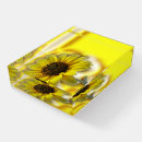 Search for daisies paperweights Colorful