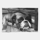 Search for dog kitchen towels White