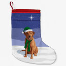 Search for pet christmas stockings Pets