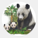 Search for panda stickers Nature
