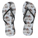 Search for dog sandals Pets