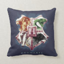 Search for harry potter pillows Magic