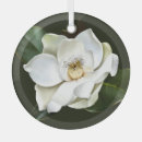 Search for magnolia ornaments Blossom