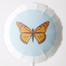 Search for butterfly balloons Summer