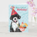 Search for portuguese water dog cards Pwd