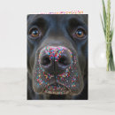 Search for black labrador birthday cards Pet