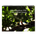 Search for fantasy calendars Landscape