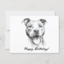 Search for pitbull birthday cards Dog