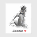 Search for tap dance stickers Cat