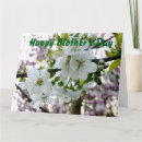 Search for chinese mothers day cards Japanese