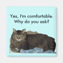 Search for laundry magnets Kitty