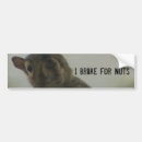 Search for i brake for squirrels bumper stickers Funny