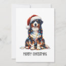 Search for australian shepherd christmas cards Dog