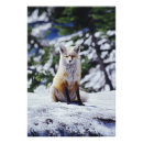 Search for washington state parks posters Scenic