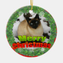 Search for siamese cat ornaments Red