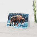 Search for bison christmas cards Animal