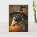 Search for funny dog halloween cards Pumpkin