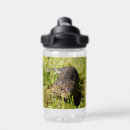 Search for lizard water bottles Wildlife