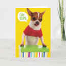 Search for funny dog birthday cards Chihuahua