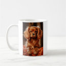 Search for ruby cavalier king charles spaniel Cavie