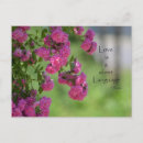 Search for rumi quotes love cards stamps Flowers
