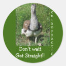 Search for chiropractic stickers Doctor