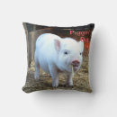 Search for cow pillows Country life