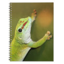 Search for macro notebooks green