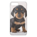 Search for dachshund iphone cases Dachsund