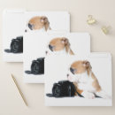 Search for english bulldog office supplies Canine