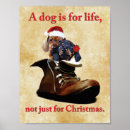 Search for dog lovers posters dachshund
