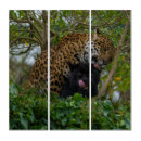 Search for animal black panther art Jaguar