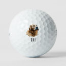 Search for golden retriever golf balls Golfer