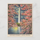 Search for vintage washington dc postcards Souvenir