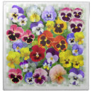 Search for pansy napkins Pansies