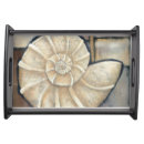 Search for seashell serving trays Conch