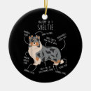 Search for sheltie ornaments Shetland sheepdog