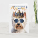 Search for king birthday cards Pets