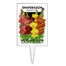 Search for dragon cake toppers Illustration