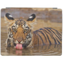 Search for tiger ipad cases Superstock