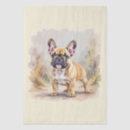 Search for french tissue paper Pets