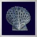 Search for seashell posters Indigo