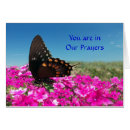 Search for god bless you cards Bible